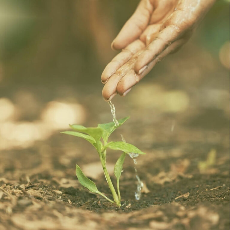 About – Green Pakistan Initiative
