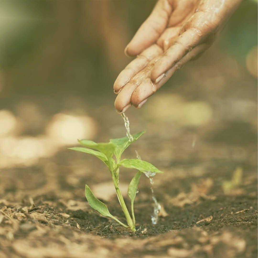 About – Green Pakistan Initiative